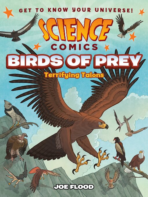 Title details for Birds of Prey by Joe Flood - Available